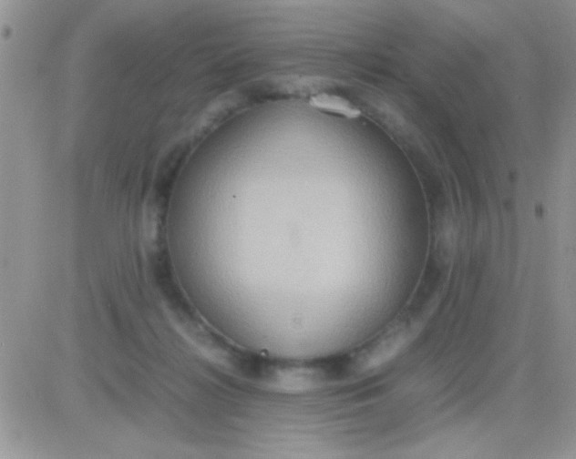 X0000081370268200701252021