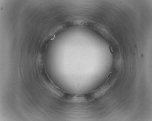 X0000081370270200701252021