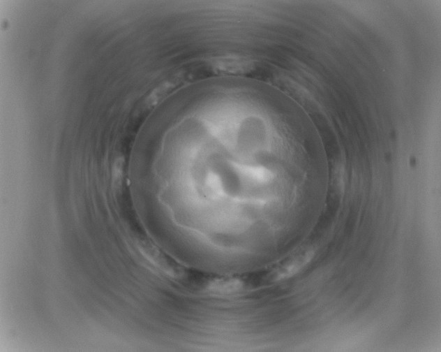 X0000081370271200701252021