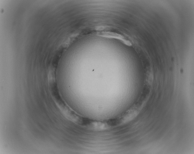 X0000081370272200701252021