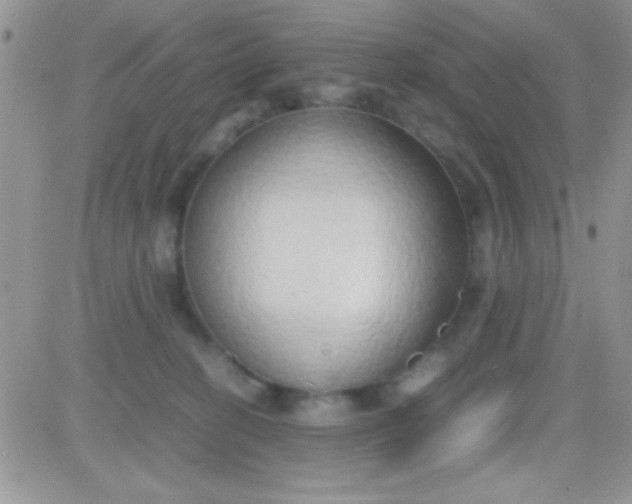 X0000081370274200701252022