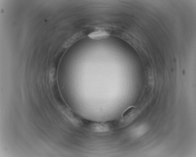 X0000081370275200701252022