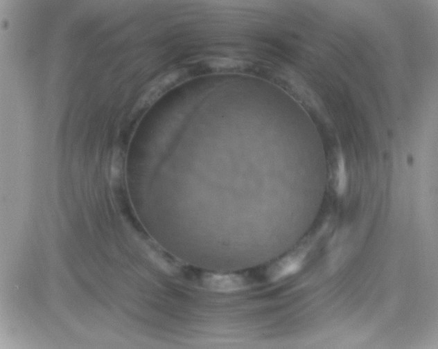 X0000081370277200701252022