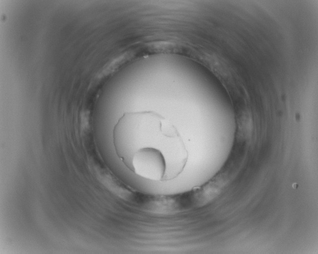 X0000081370278200701252022