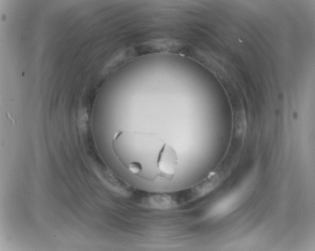 X0000081370279200701252022