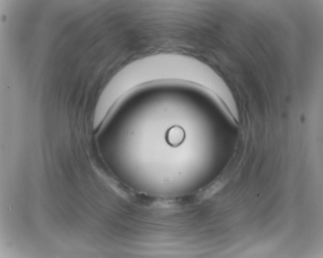 X0000081370280200701252022