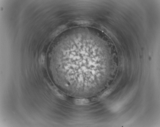 X0000081370281200701252022