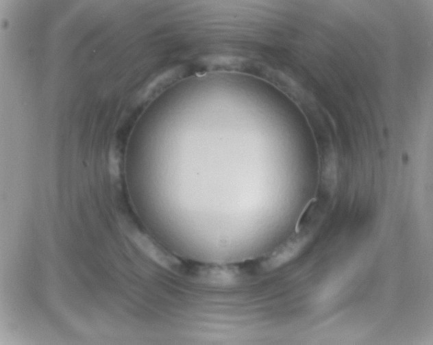 X0000081370282200701252022