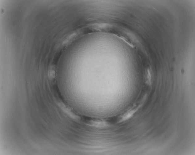 X0000081370284200701252022