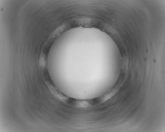 X0000081370287200701252022