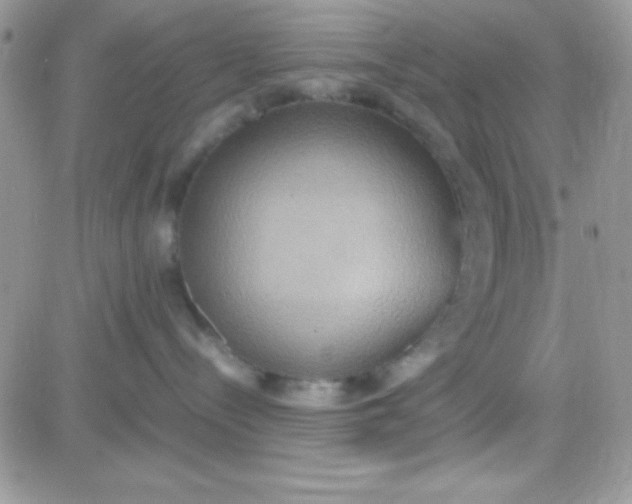 X0000081370288200701252022