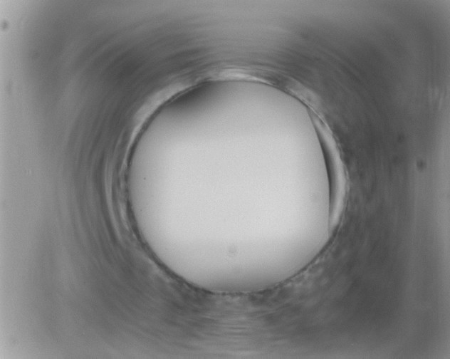 X0000081370289200701252021