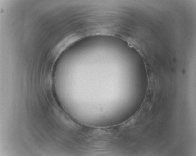 X0000081370290200701252021