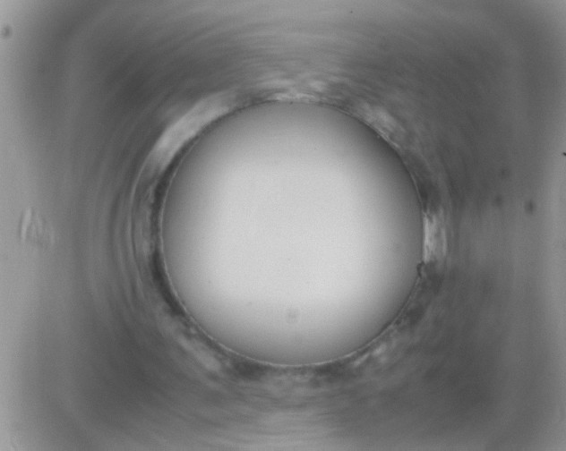 X0000081370291200701252021