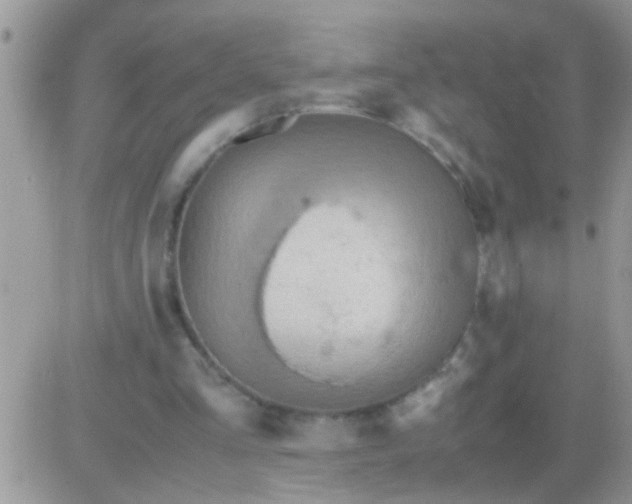 X0000081370293200701252021