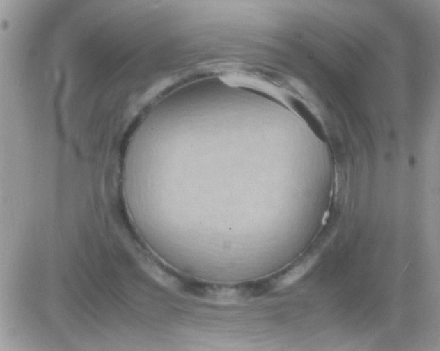 X0000081370301200701252021