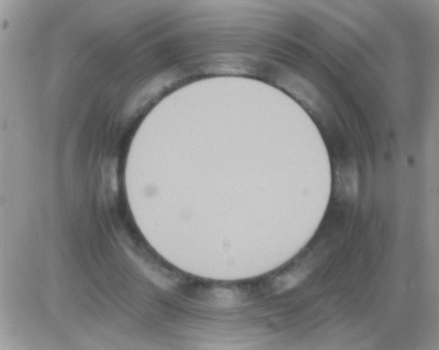 X0000081370302200701252021