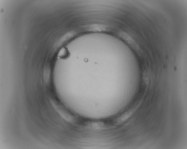 X0000081370304200701252021