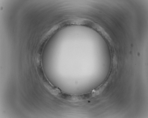 X0000081370305200701252021