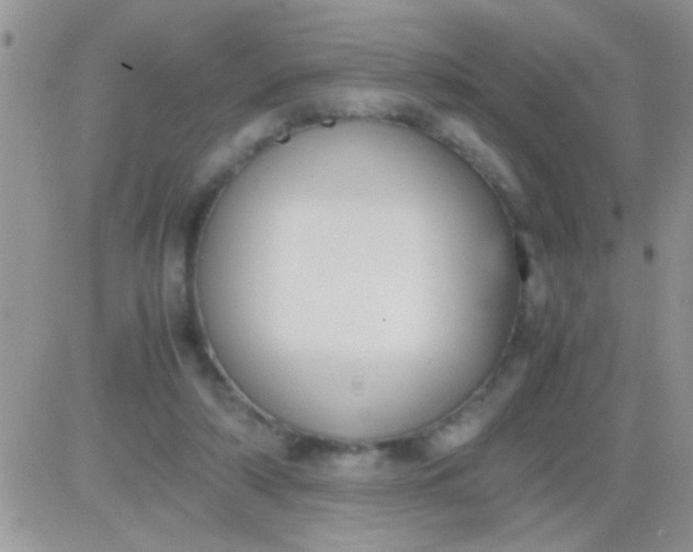 X0000081370306200701252021