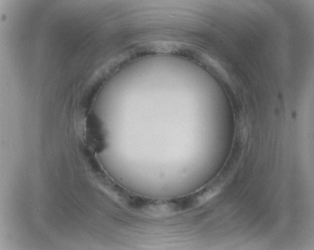 X0000081370307200701252021