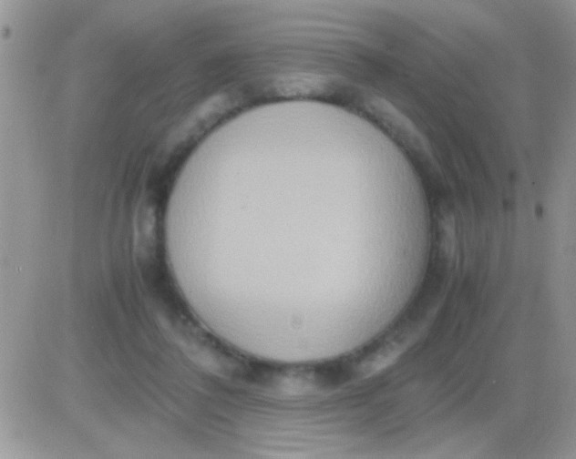 X0000081370308200701252021