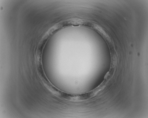 X0000081370309200701252021