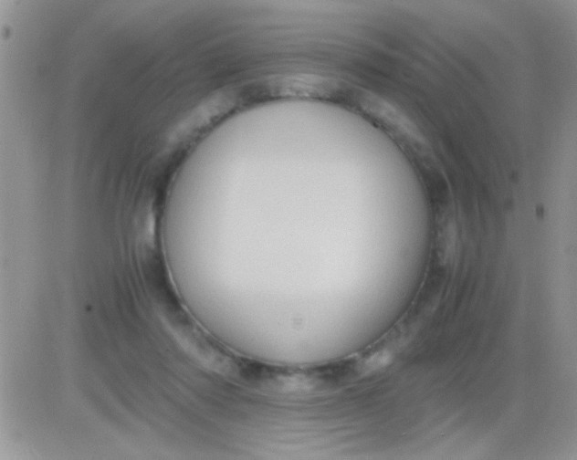 X0000081370310200701252021