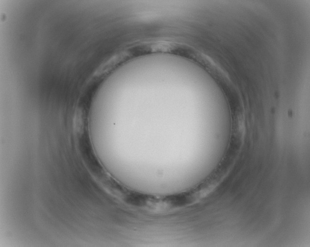 X0000081370311200701252021