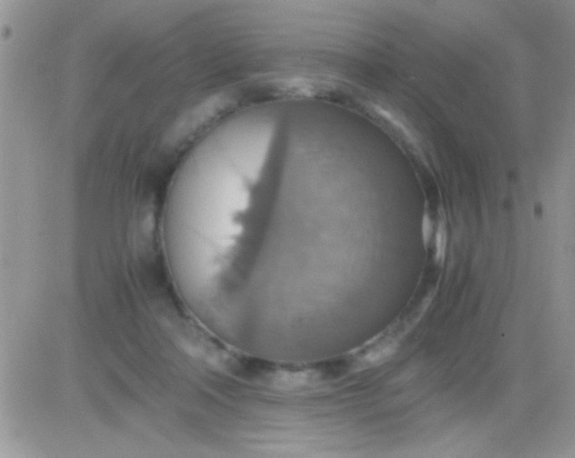 X0000081370314200701252021