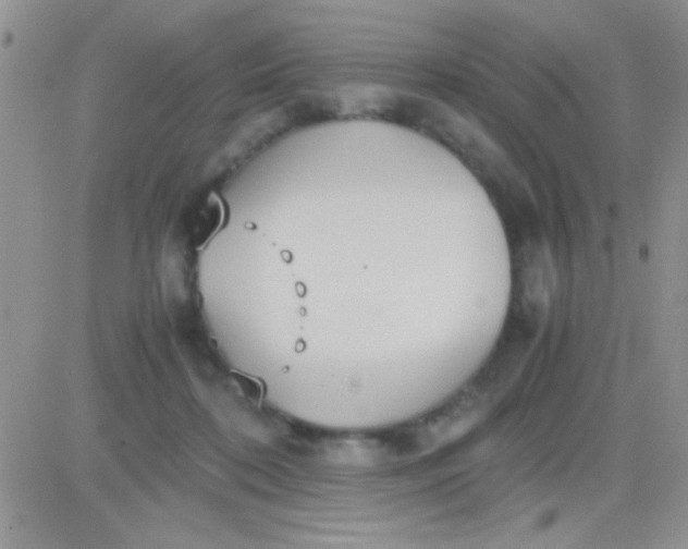 X0000081370316200701252021