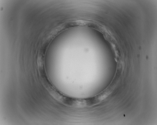 X0000081370317200701252021