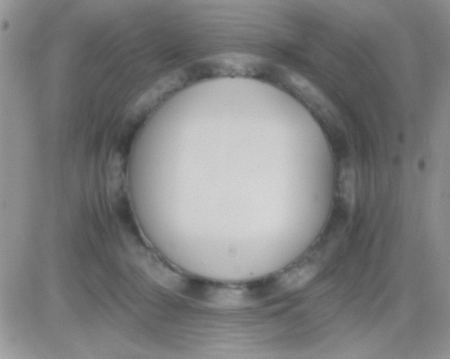 X0000081370318200701252020