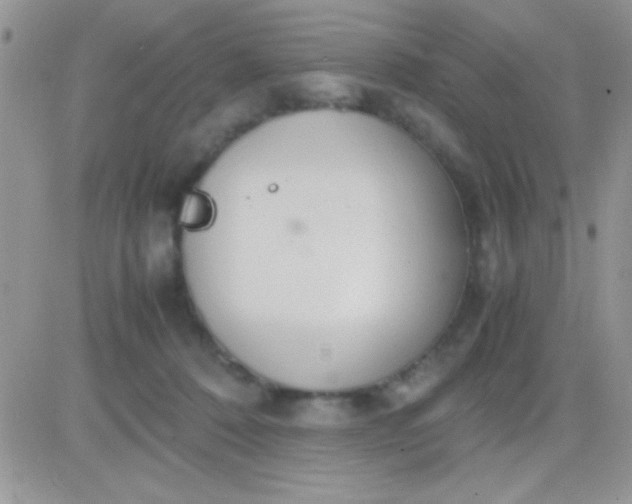 X0000081370320200701252020