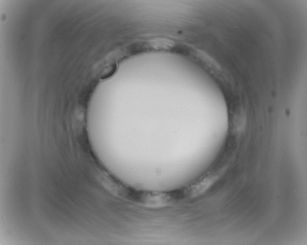 X0000081370321200701252020