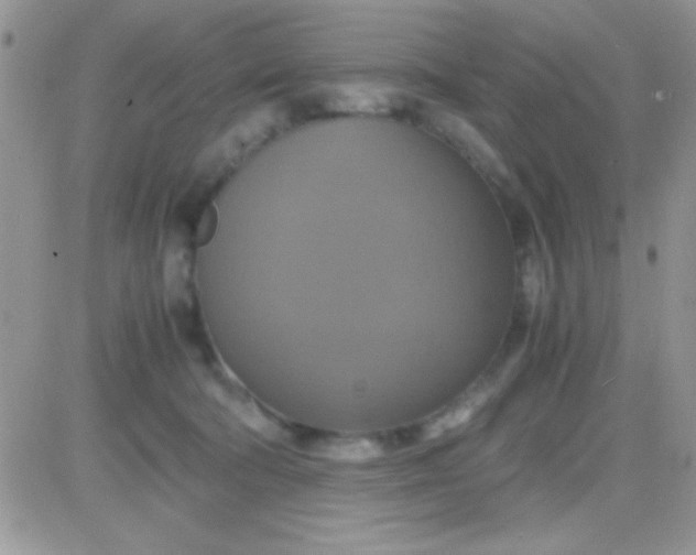 X0000081370322200701252020