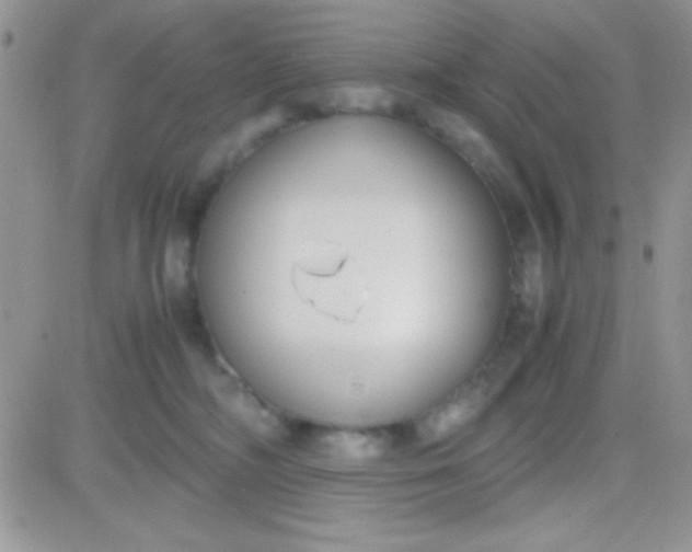 X0000081370326200701252020