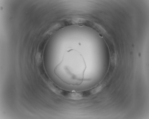 X0000081370327200701252020