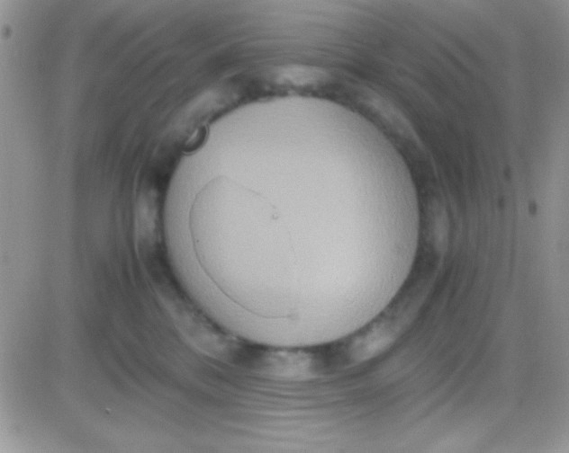 X0000081370328200701252020