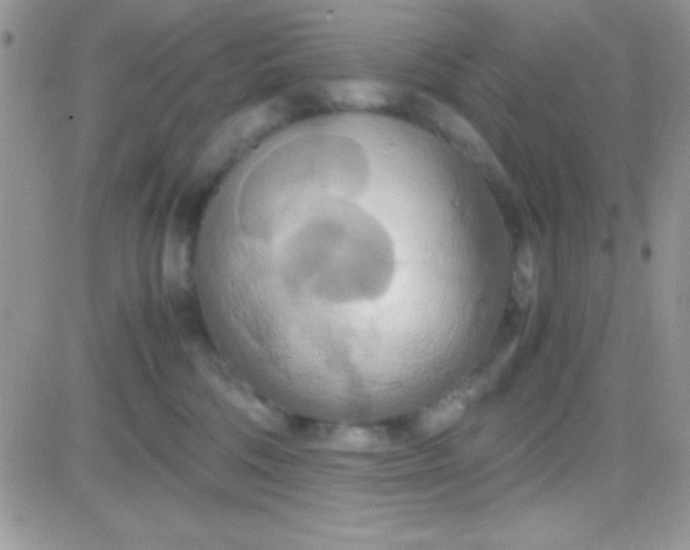 X0000081370330200701252020