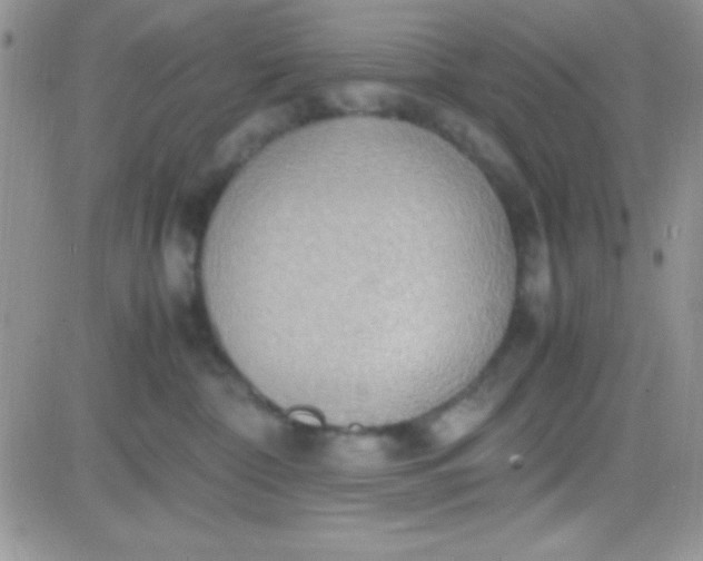 X0000081370332200701252020