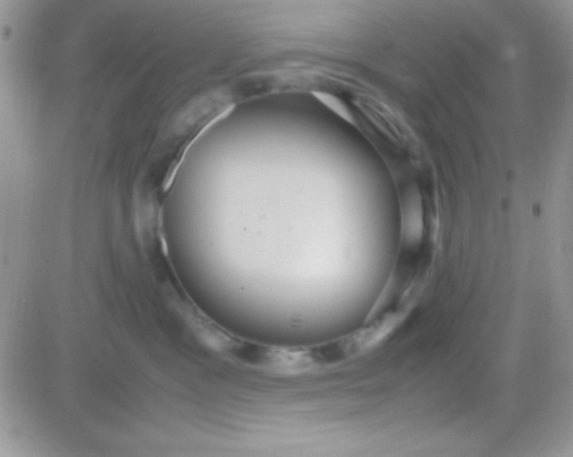 X0000081370333200701252020