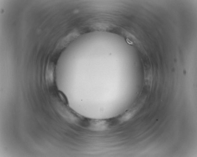 X0000081370334200701252020