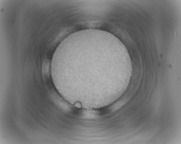 X0000081370336200701252020