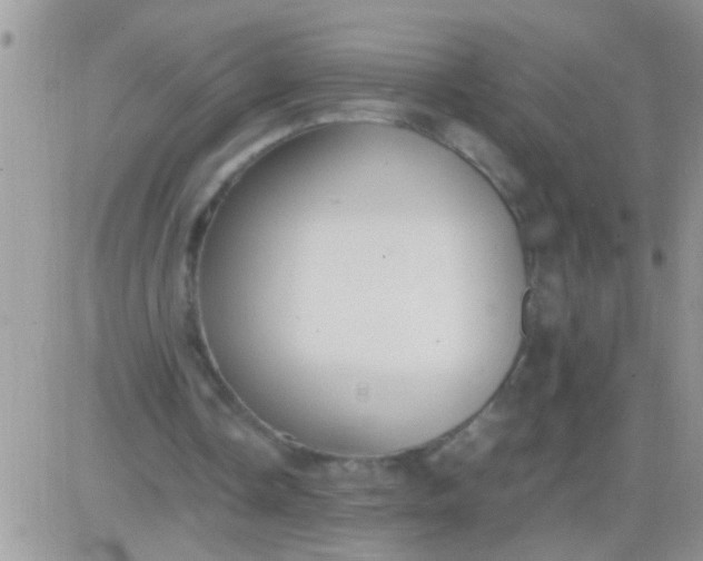 X0000081370338200701252019