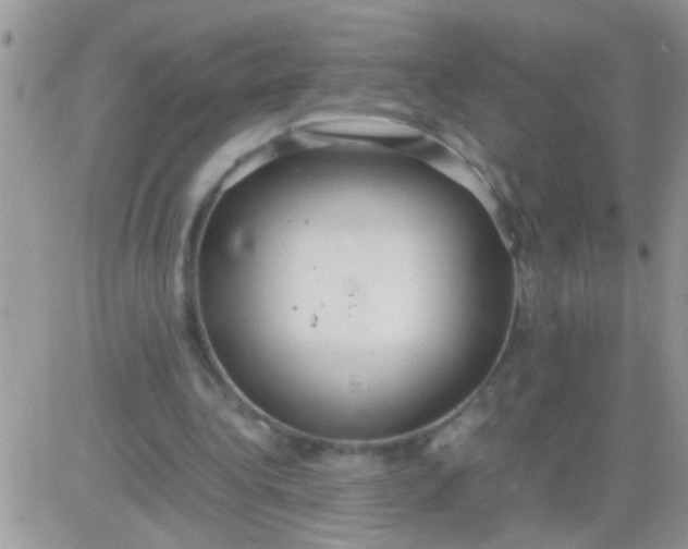 X0000081370340200701252019