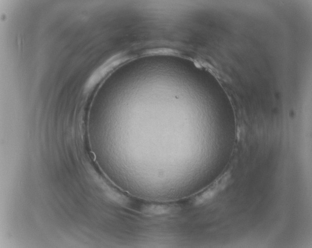 X0000081370341200701252019