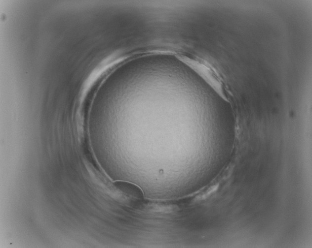 X0000081370343200701252020