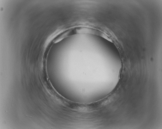 X0000081370344200701252020