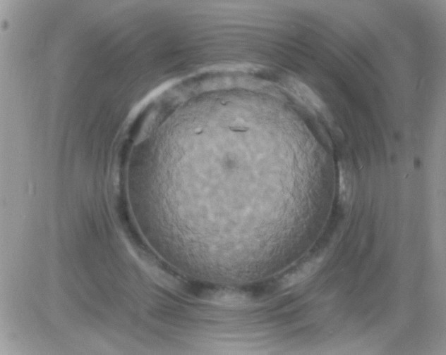 X0000081370348200701252020